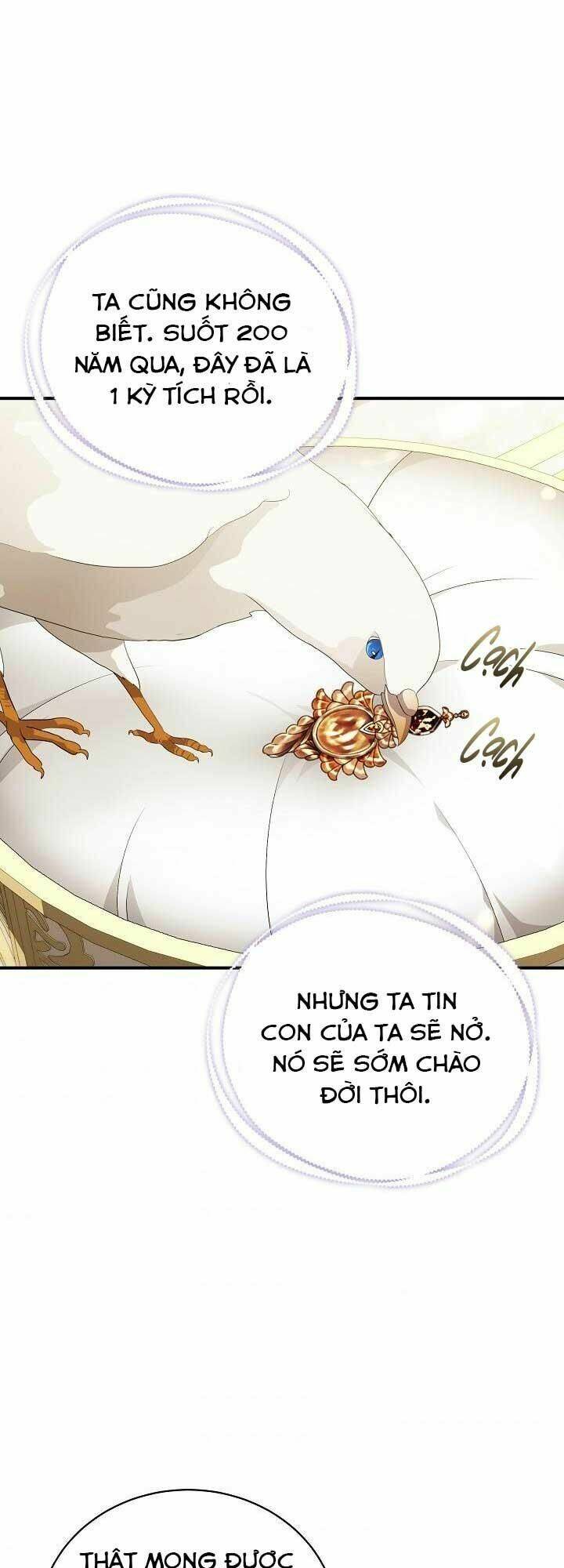 Tôi Chỉ Đi Tìm Cha Thôi Chương 48 Ảnh 22