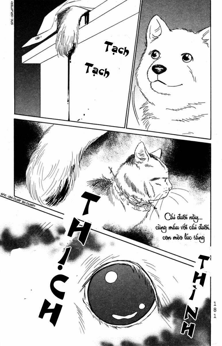 Deep Love - Pao No Monogatari Chương 6 Ảnh 13