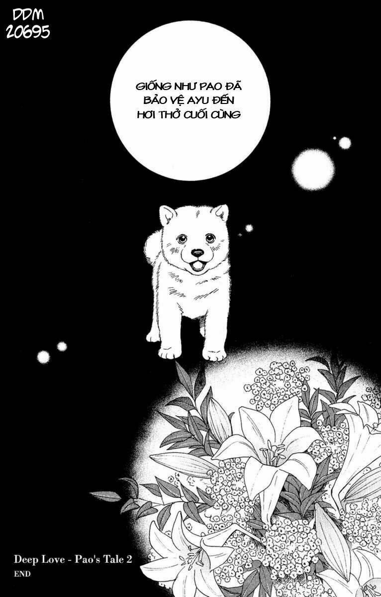 Deep Love - Pao No Monogatari Chương 11 Ảnh 38