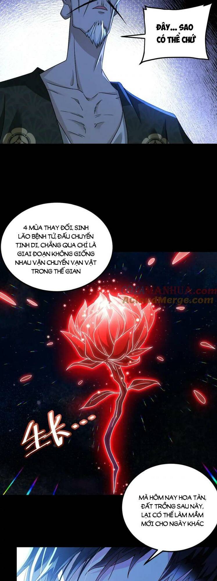 Tiên Tôn Lạc Vô Cực Chương 242 Ảnh 26