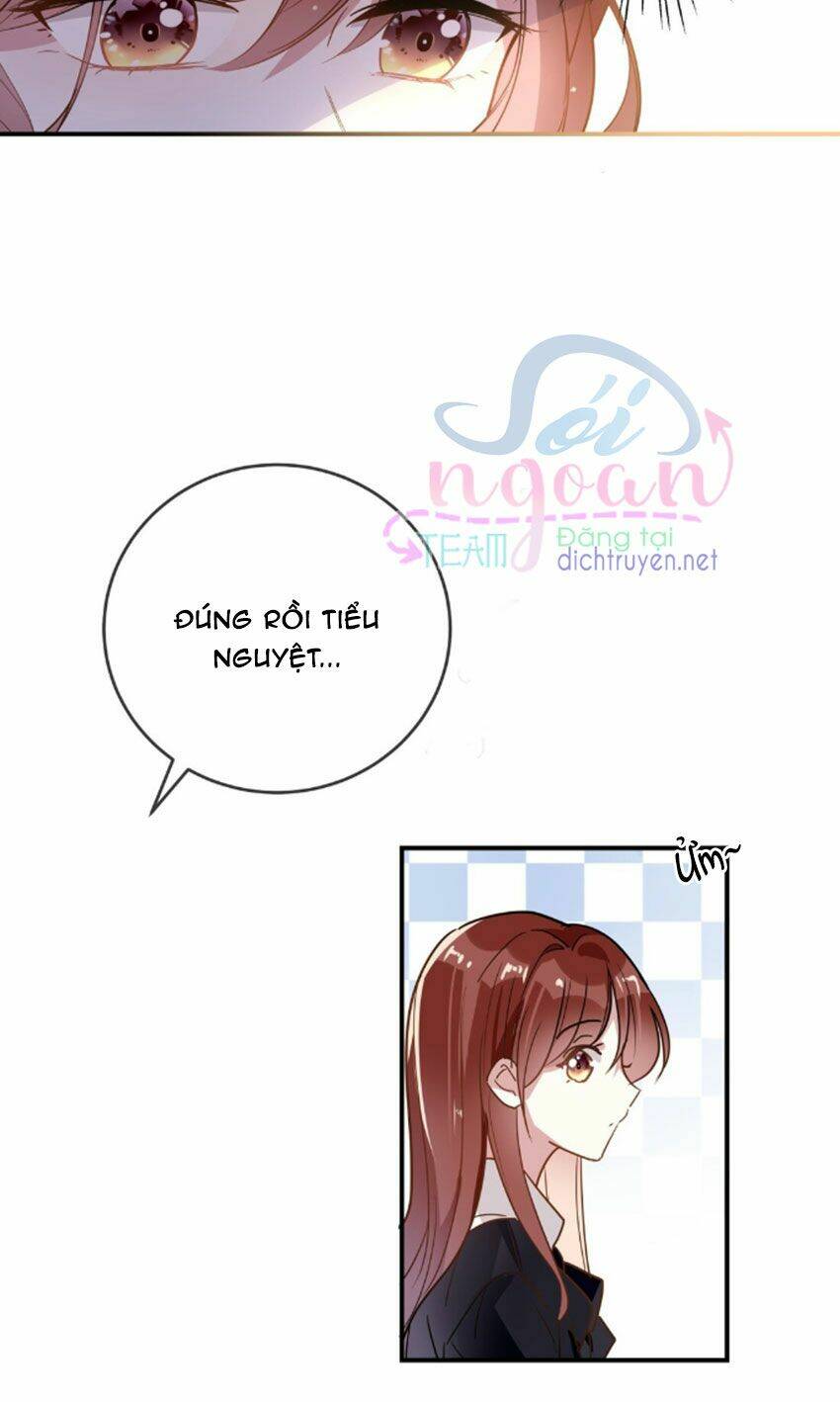 Em Là Bạc Hà Mèo Của Tôi Chương 32 Ảnh 27