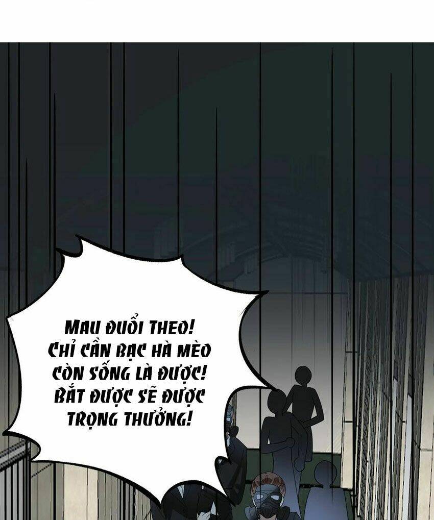 Em Là Bạc Hà Mèo Của Tôi Chương 51 Ảnh 21
