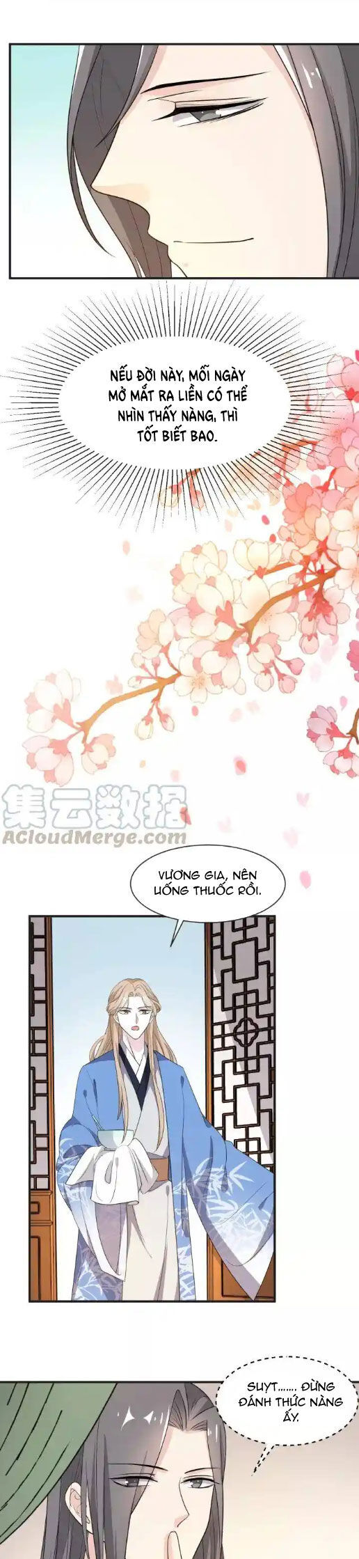 Trùng Sinh Chuyên Sủng Độc Phi Của Nhiếp Chính Vương Chương 64 Ảnh 9