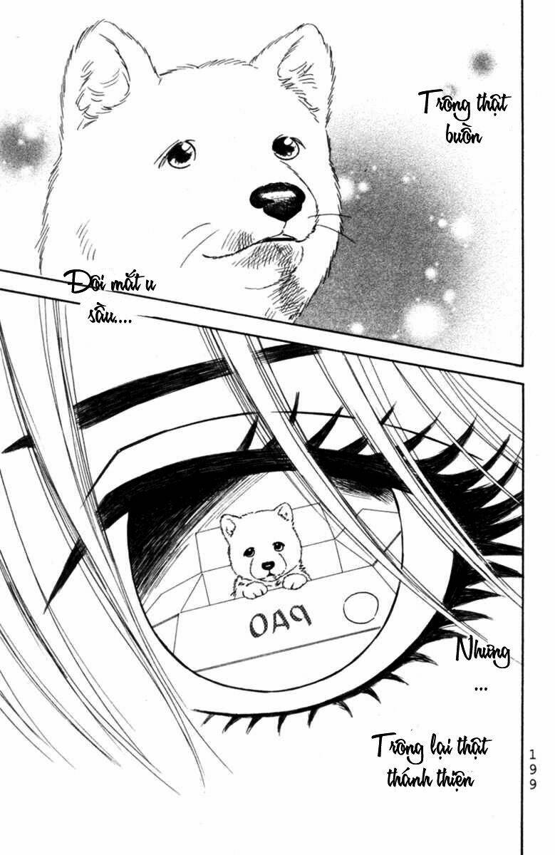 Deep Love - Pao No Monogatari Chương 6 Ảnh 31