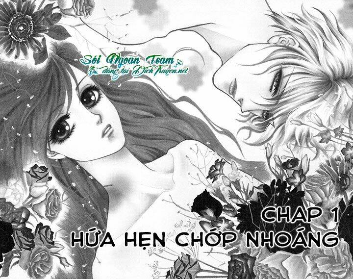Đóa Hồng Dành Tặng Seri Chương 1 Ảnh 6