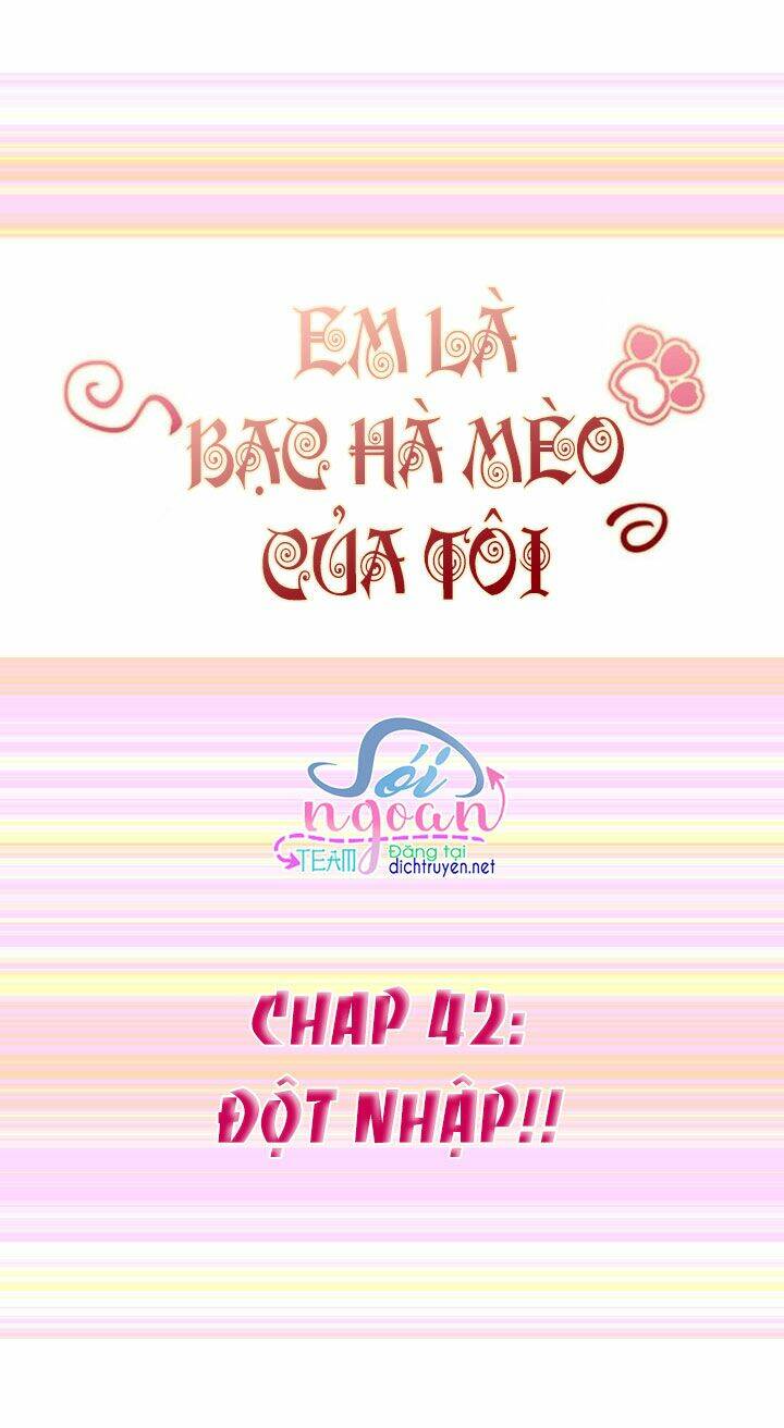 Em Là Bạc Hà Mèo Của Tôi Chương 42 Ảnh 2