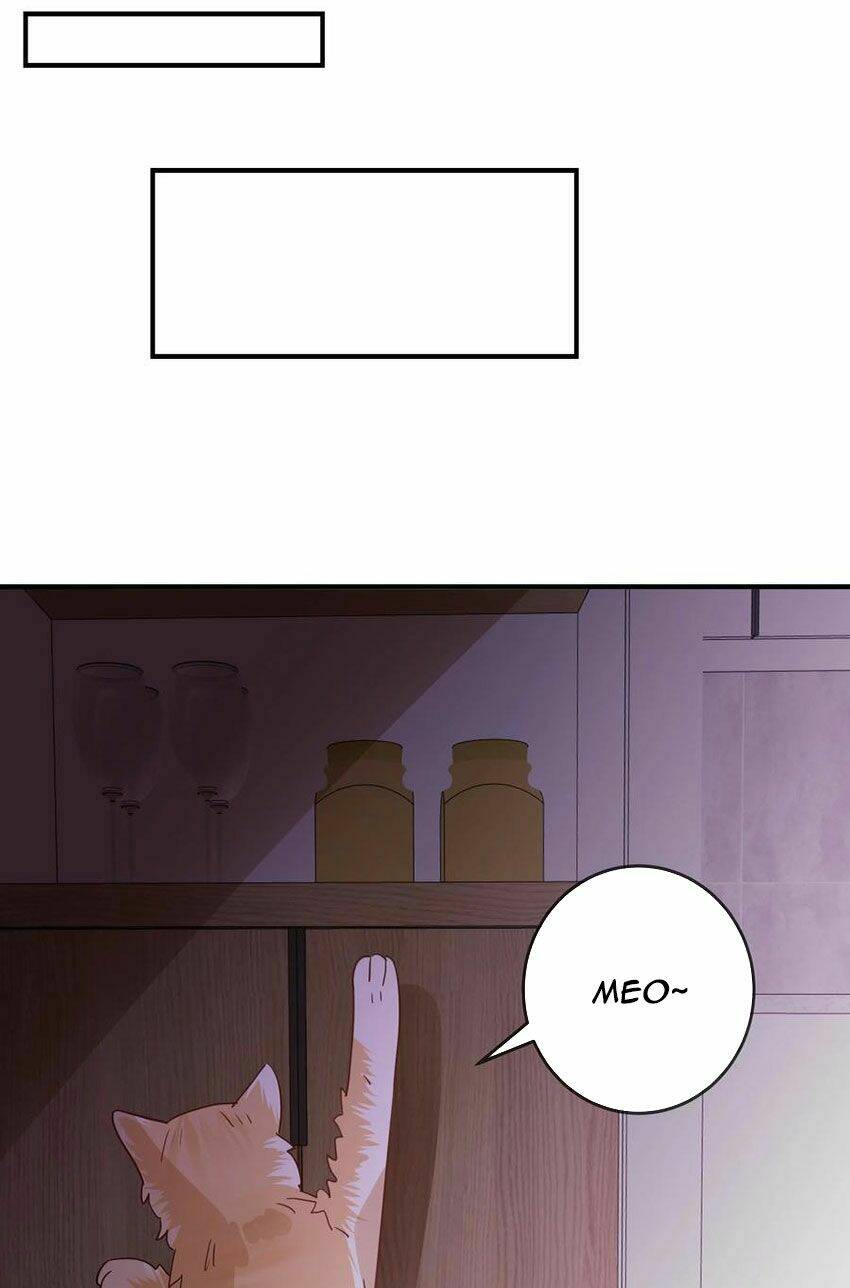 Em Là Bạc Hà Mèo Của Tôi Chương 50 Ảnh 24