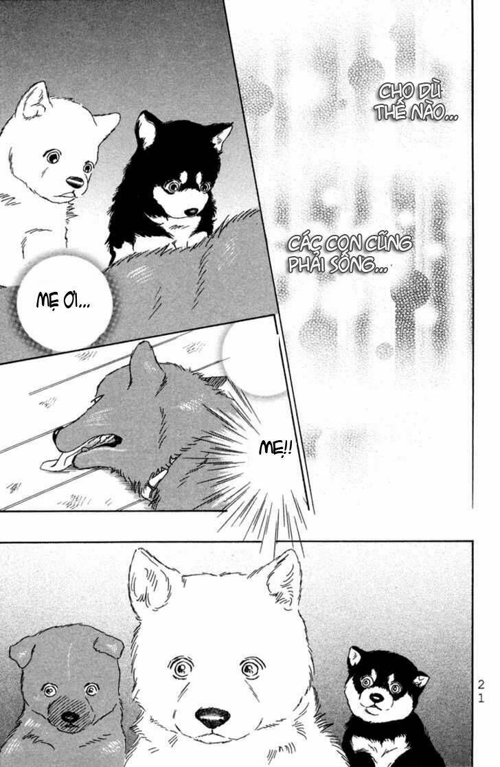 Deep Love - Pao No Monogatari Chương 1 Ảnh 25