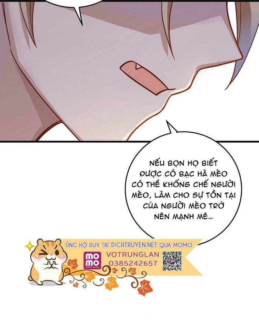 Em Là Bạc Hà Mèo Của Tôi Chương 48 Ảnh 17