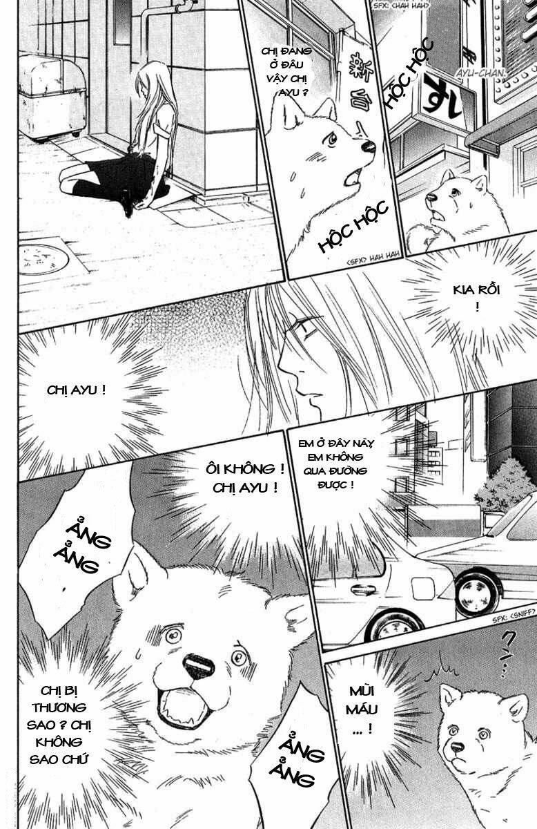 Deep Love - Pao No Monogatari Chương 8 Ảnh 18