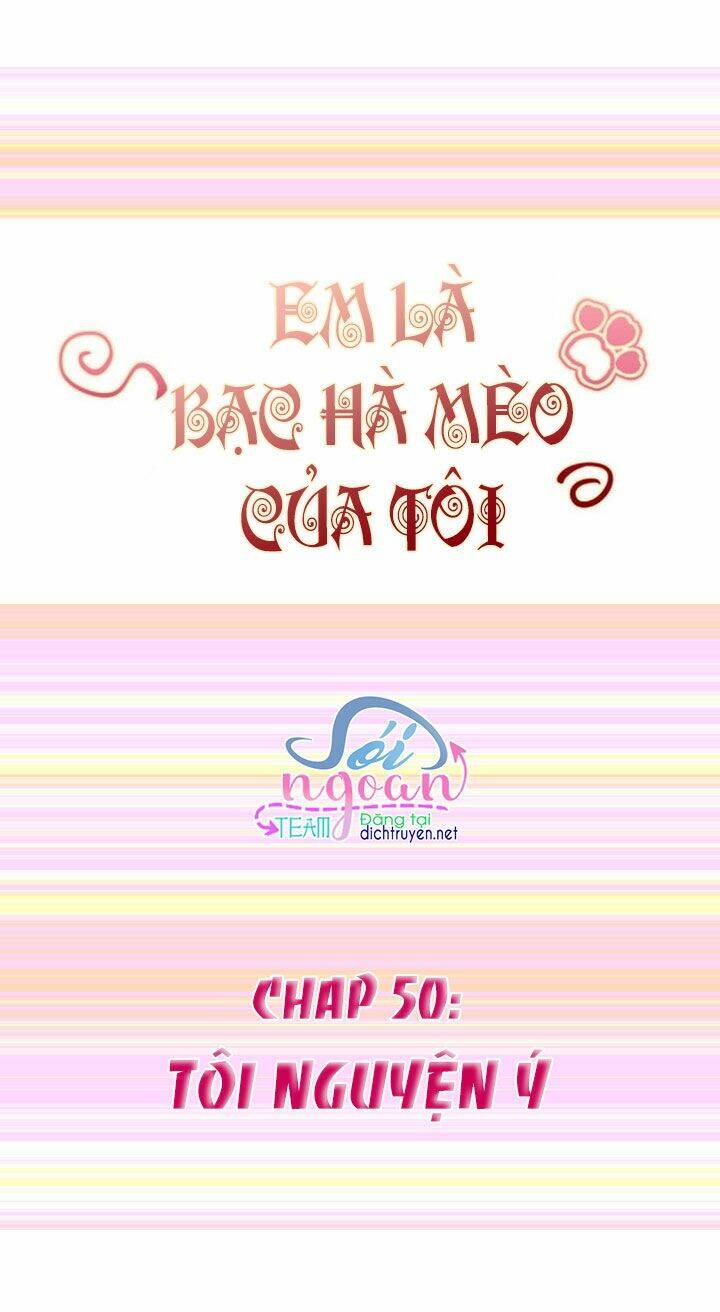 Em Là Bạc Hà Mèo Của Tôi Chương 50 Ảnh 2