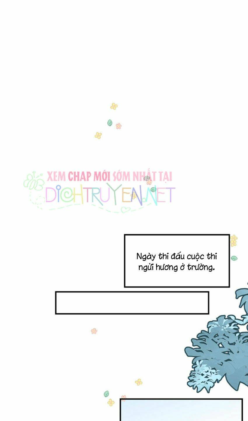 Em Là Bạc Hà Mèo Của Tôi Chương 32 Ảnh 30