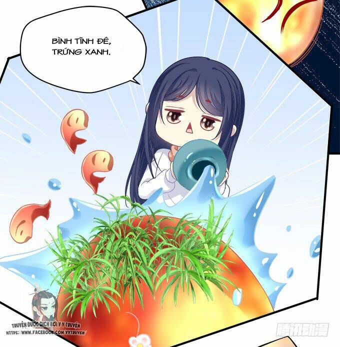 Dụ Hoặc Miêu Yêu Chương 200 Ảnh 22