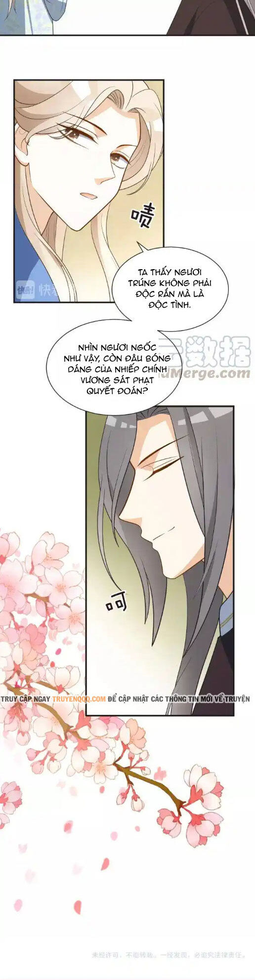 Trùng Sinh Chuyên Sủng Độc Phi Của Nhiếp Chính Vương Chương 64 Ảnh 13