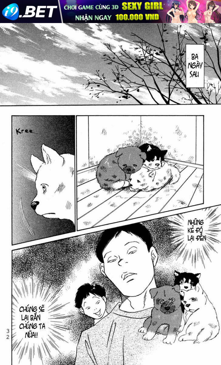 Deep Love - Pao No Monogatari Chương 1 Ảnh 36