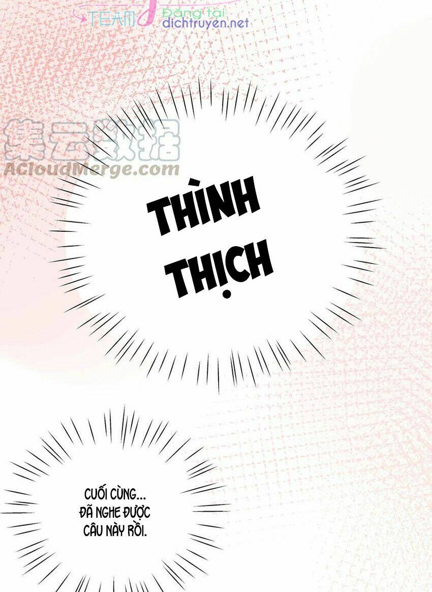 Em Là Bạc Hà Mèo Của Tôi Chương 52 Ảnh 13
