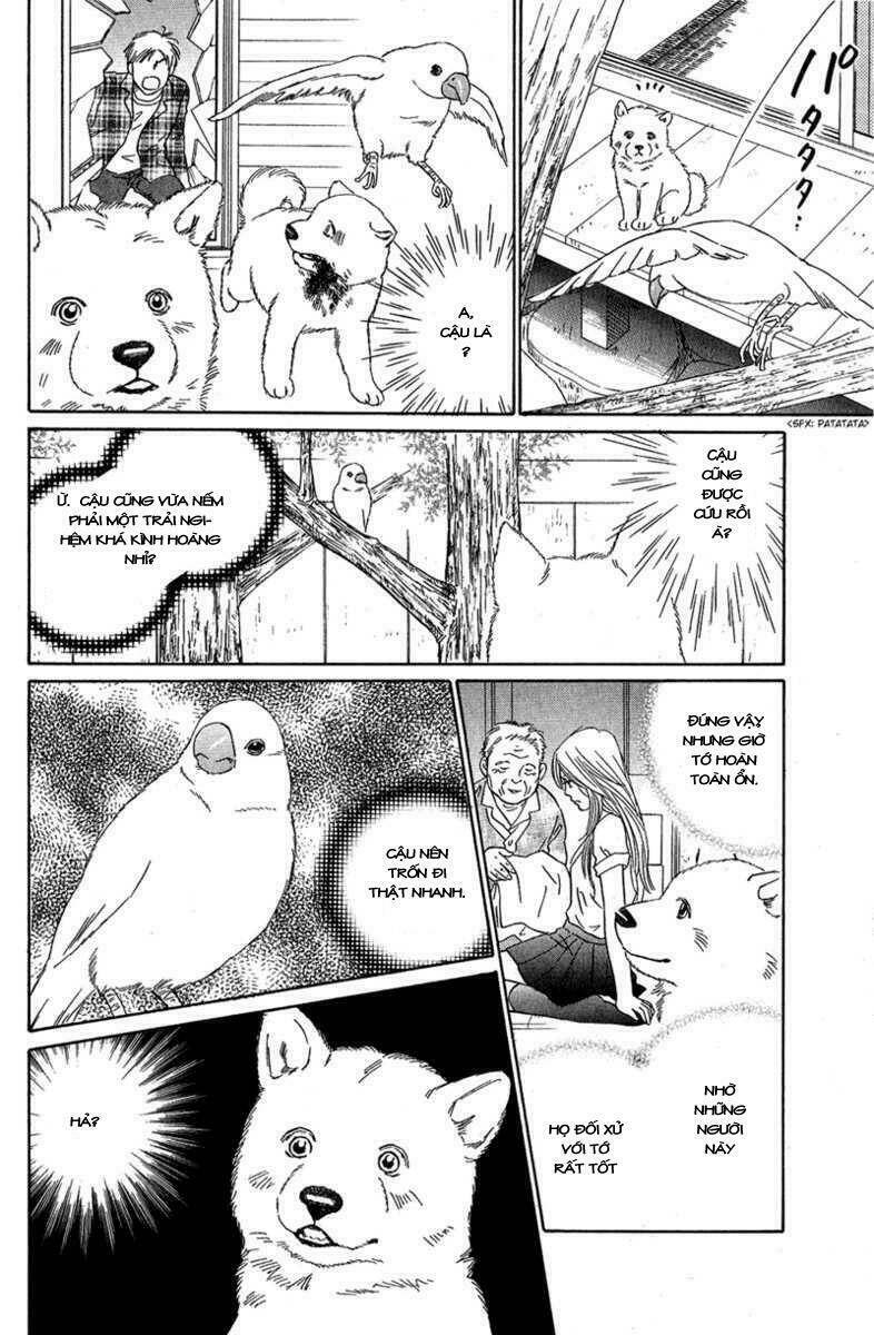 Deep Love - Pao No Monogatari Chương 7 Ảnh 26