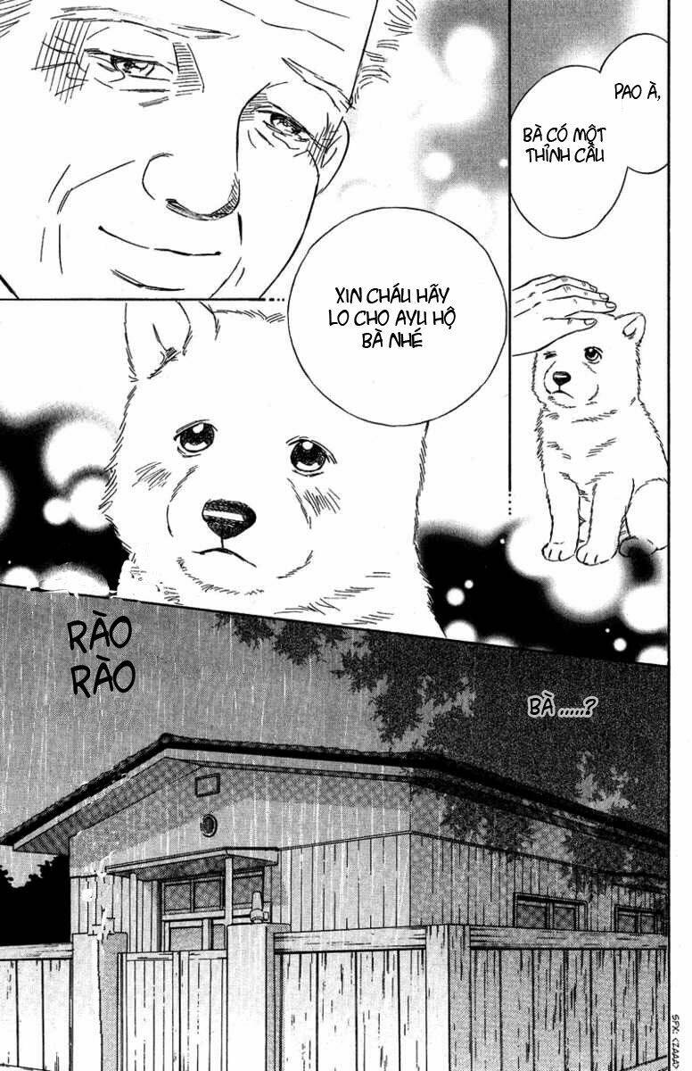 Deep Love - Pao No Monogatari Chương 8 Ảnh 31