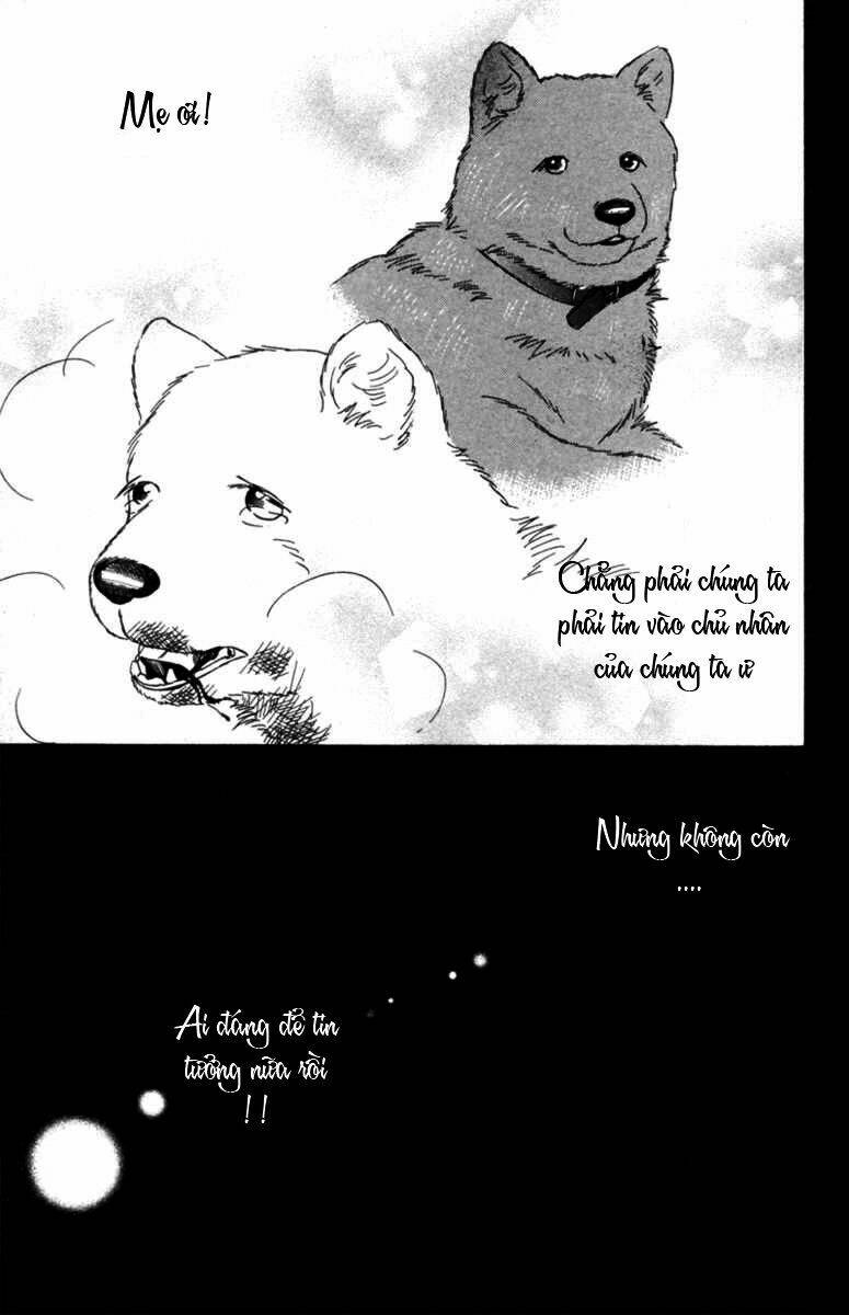 Deep Love - Pao No Monogatari Chương 6 Ảnh 25