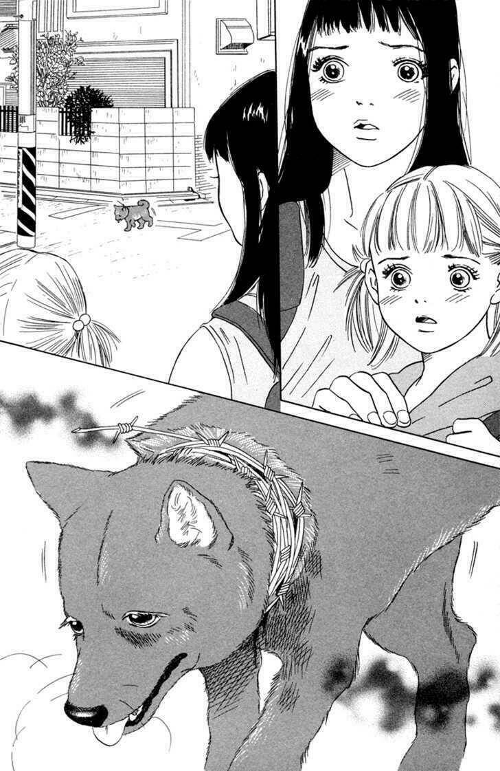 Deep Love - Pao No Monogatari Chương 1 Ảnh 8