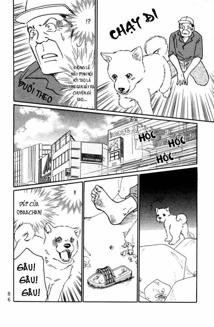 Deep Love - Pao No Monogatari Chương 3 Ảnh 17