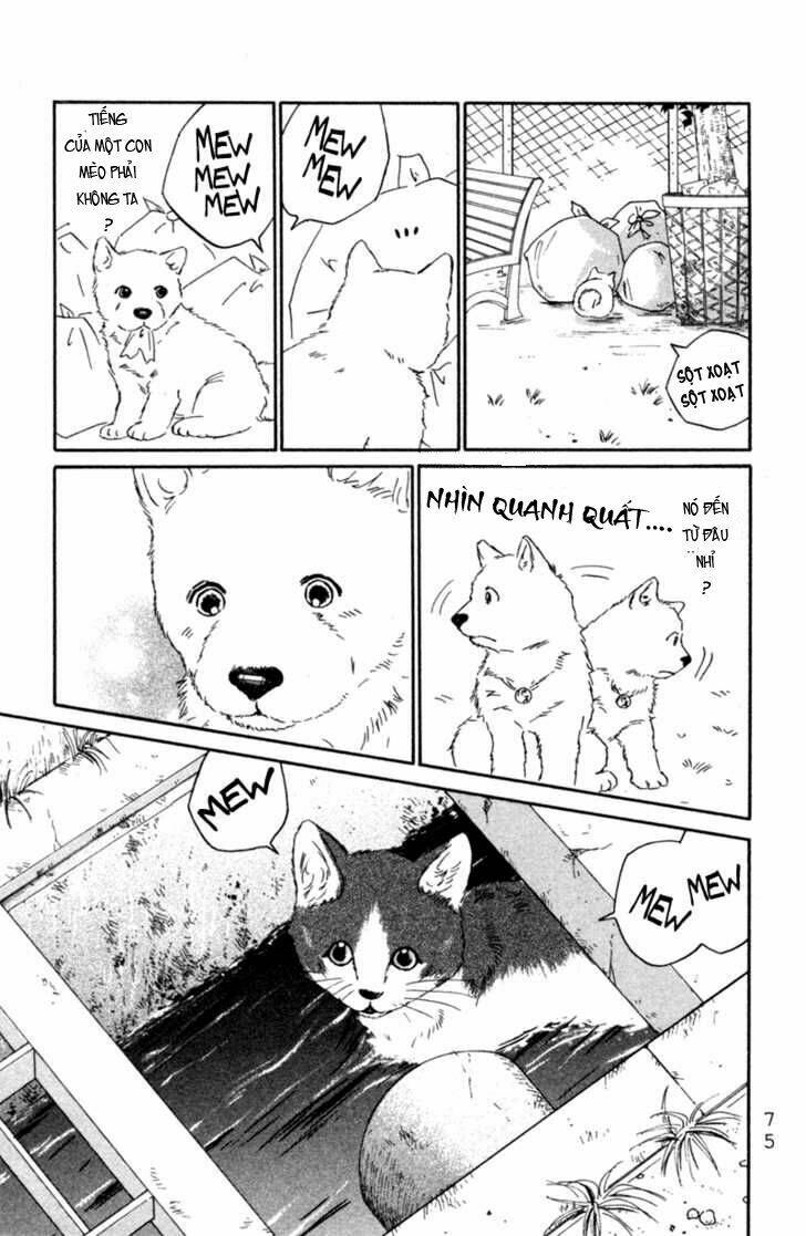 Deep Love - Pao No Monogatari Chương 3 Ảnh 6