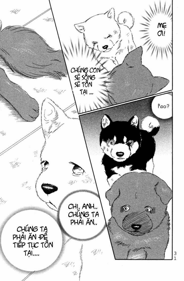 Deep Love - Pao No Monogatari Chương 1 Ảnh 35