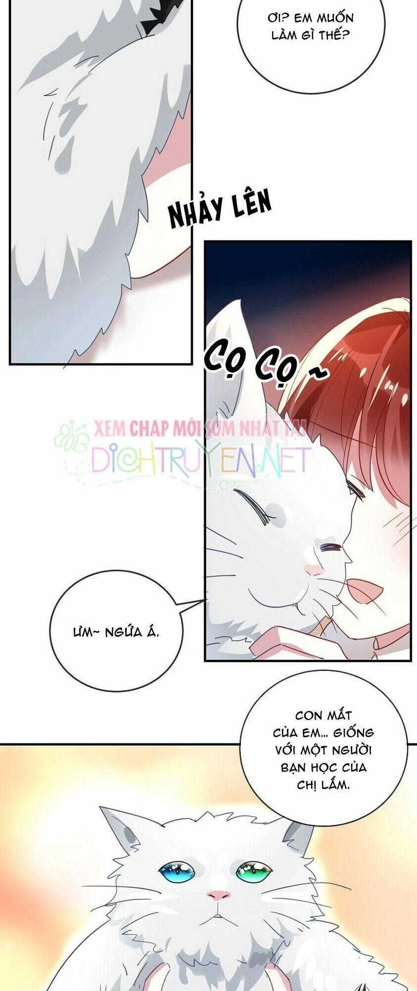 Em Là Bạc Hà Mèo Của Tôi Chương 46 Ảnh 10