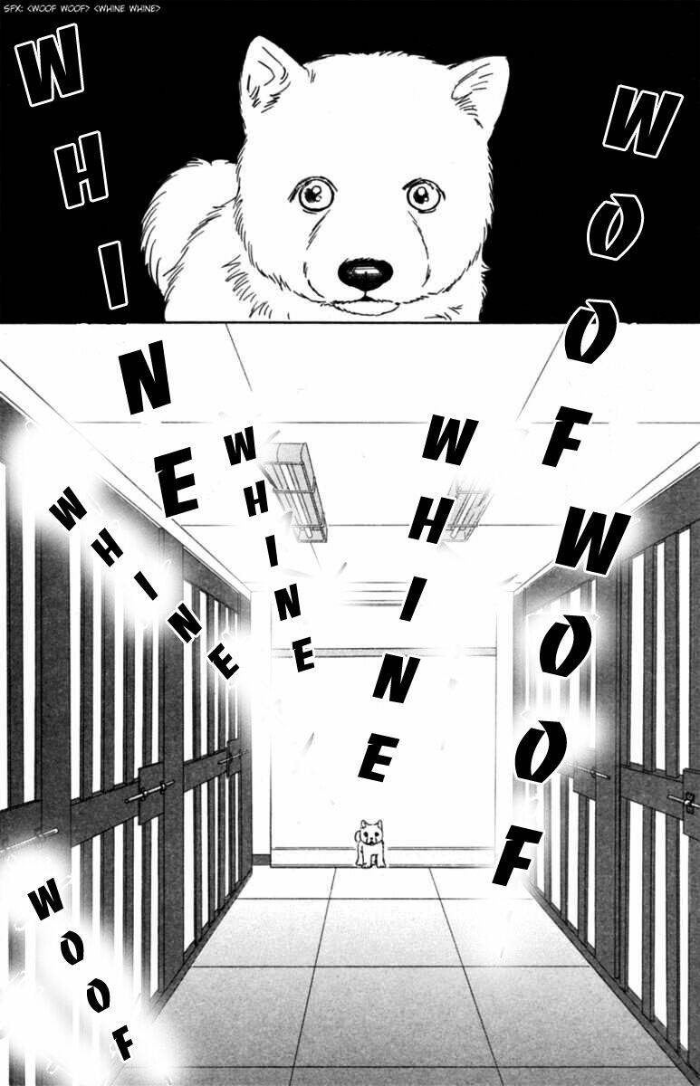 Deep Love - Pao No Monogatari Chương 5 Ảnh 11