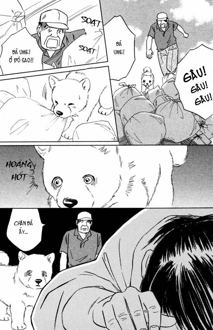Deep Love - Pao No Monogatari Chương 3 Ảnh 18
