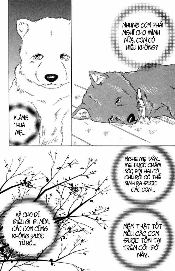 Deep Love - Pao No Monogatari Chương 1 Ảnh 24