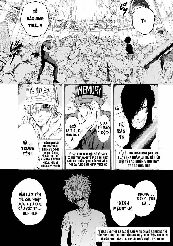 Hataraku Saibou ! Chương 24 Ảnh 2