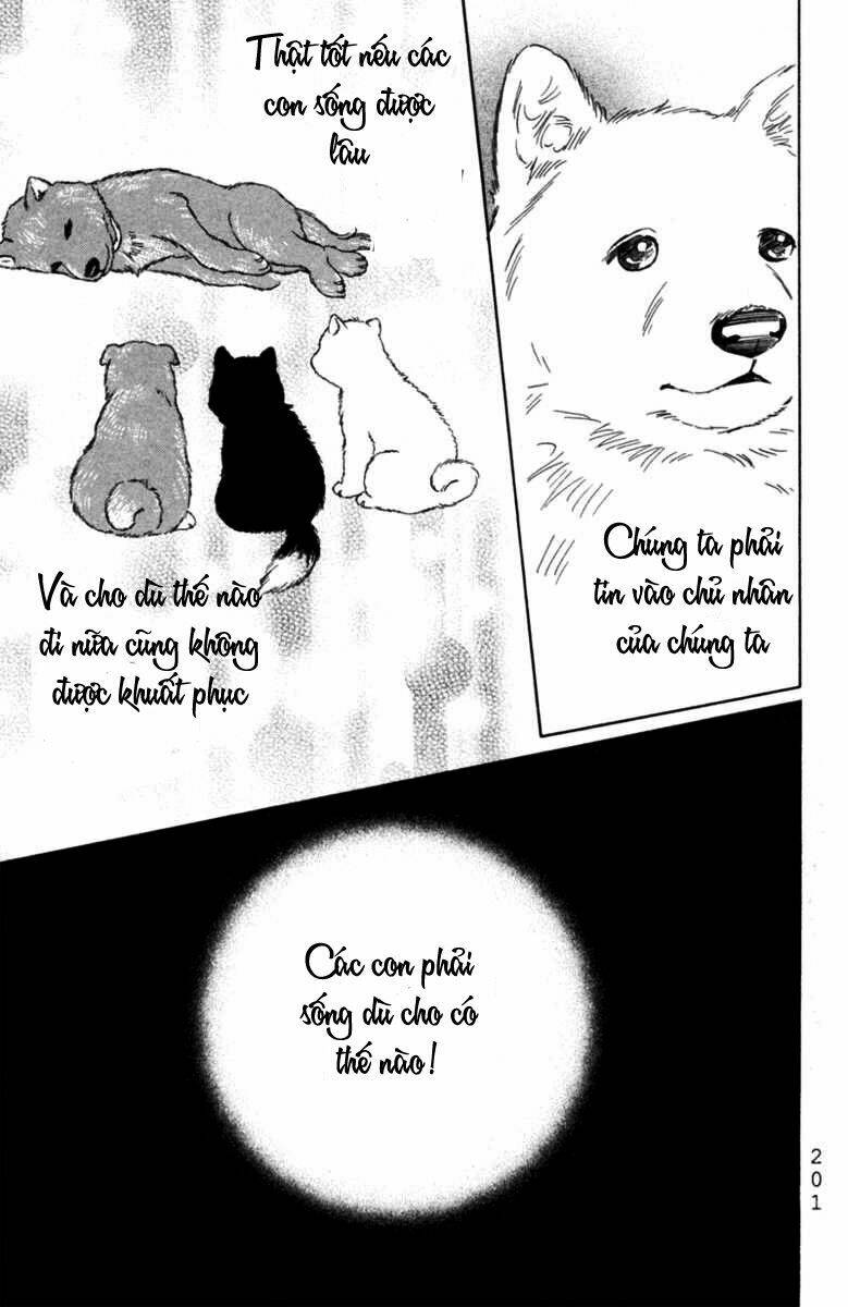 Deep Love - Pao No Monogatari Chương 6 Ảnh 33