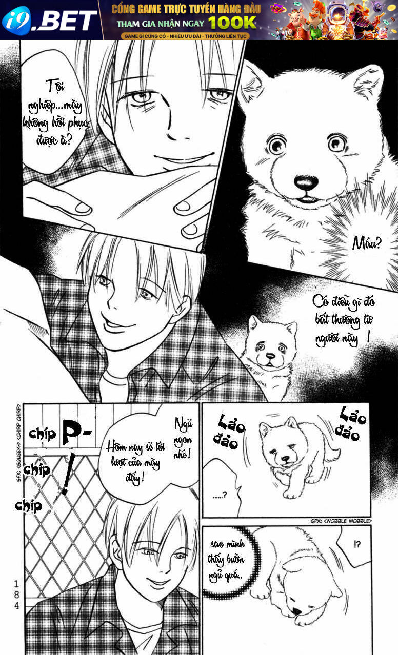 Deep Love - Pao No Monogatari Chương 6 Ảnh 16