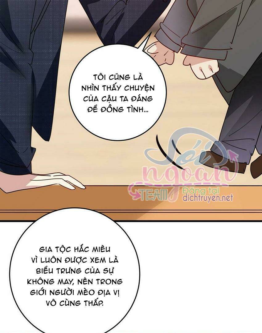 Em Là Bạc Hà Mèo Của Tôi Chương 48 Ảnh 16
