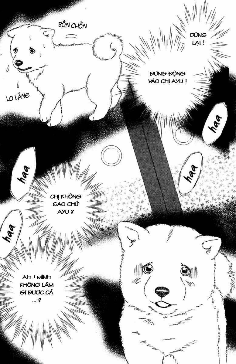 Deep Love - Pao No Monogatari Chương 11 Ảnh 3