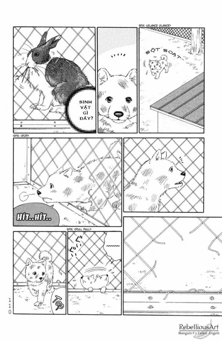 Deep Love - Pao No Monogatari Chương 4 Ảnh 8