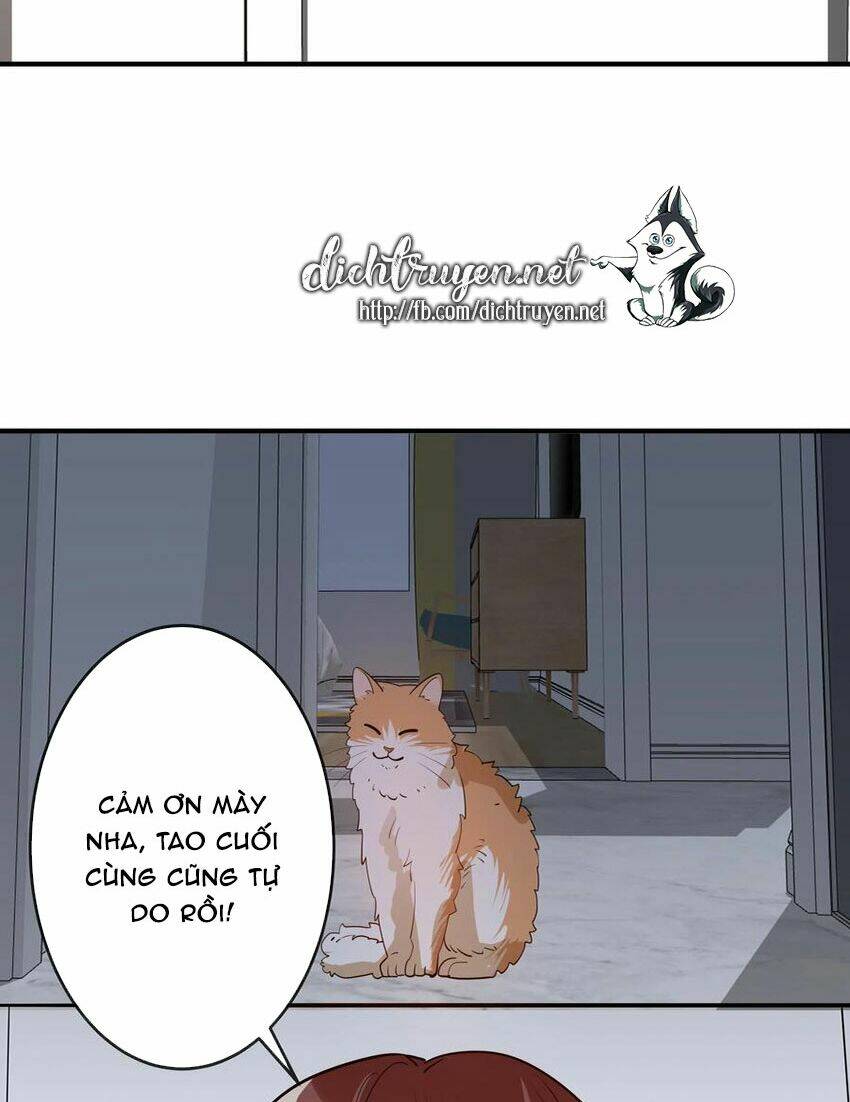 Em Là Bạc Hà Mèo Của Tôi Chương 50 Ảnh 31