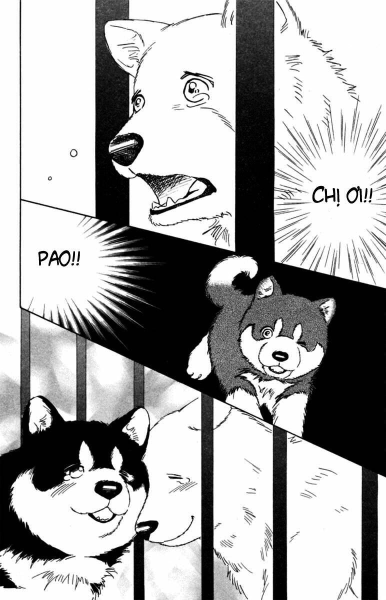 Deep Love - Pao No Monogatari Chương 5 Ảnh 14