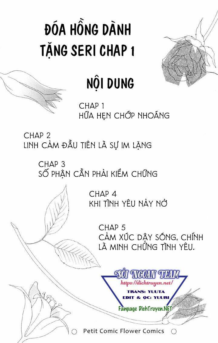 Đóa Hồng Dành Tặng Seri Chương 1 Ảnh 4