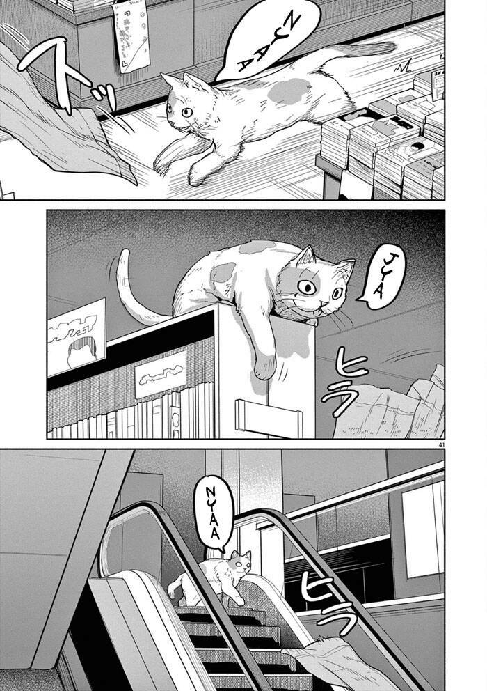 Kaii To Otome To Kamigakushi Chương 47 Ảnh 13