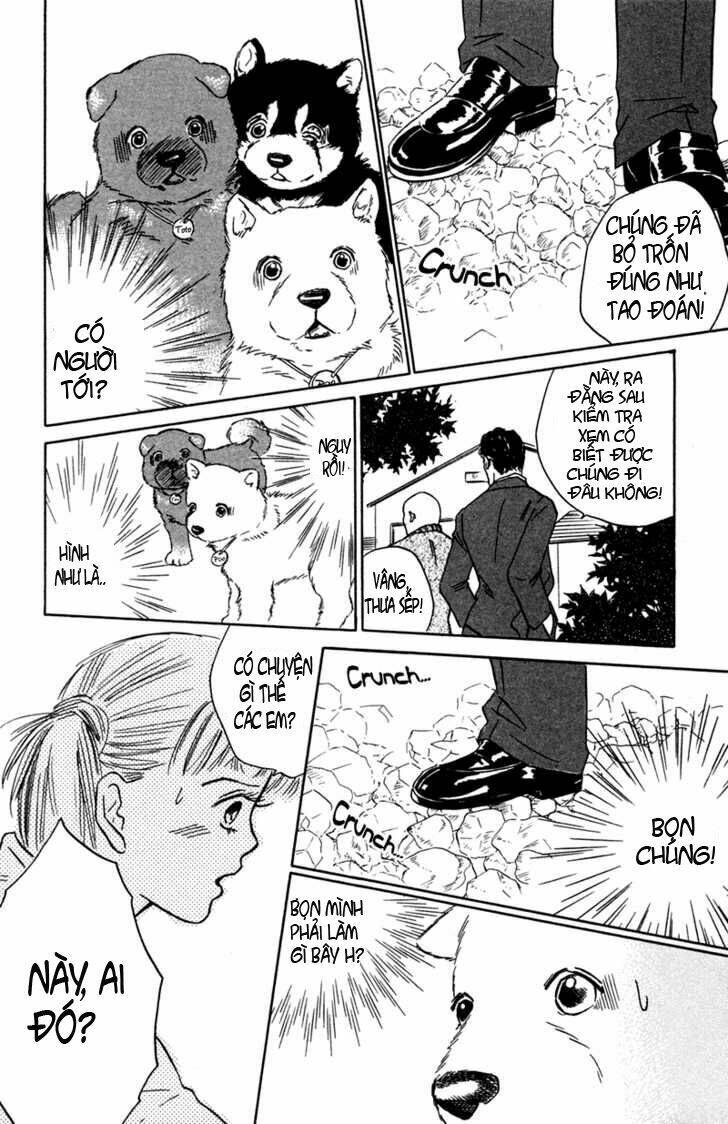 Deep Love - Pao No Monogatari Chương 2 Ảnh 11