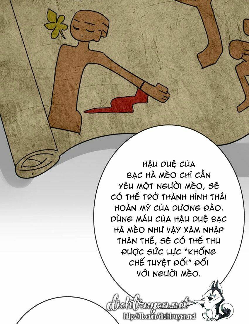 Em Là Bạc Hà Mèo Của Tôi Chương 49 Ảnh 27
