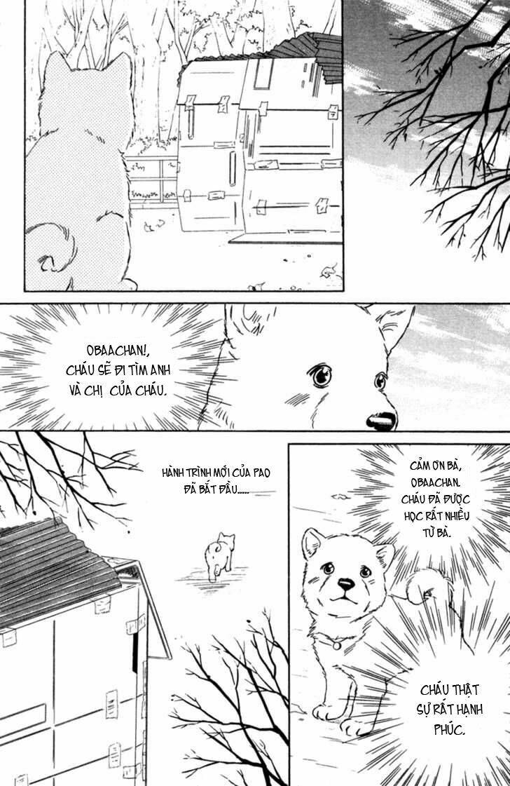 Deep Love - Pao No Monogatari Chương 3 Ảnh 35