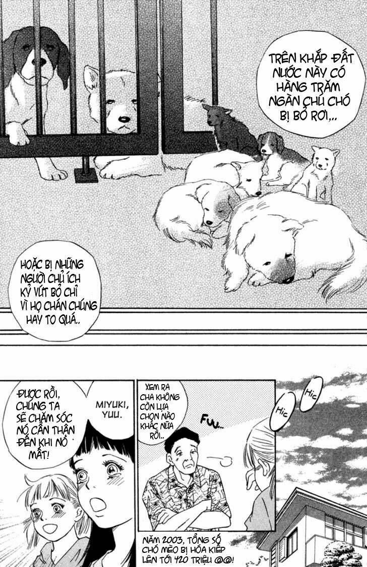 Deep Love - Pao No Monogatari Chương 1 Ảnh 11