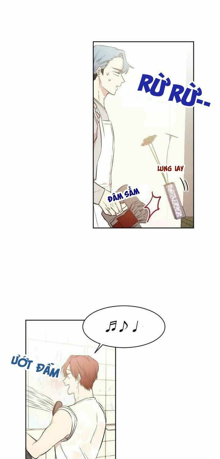 Idol Sống Trong Nhà Tôi ! Chương 7 Ảnh 11