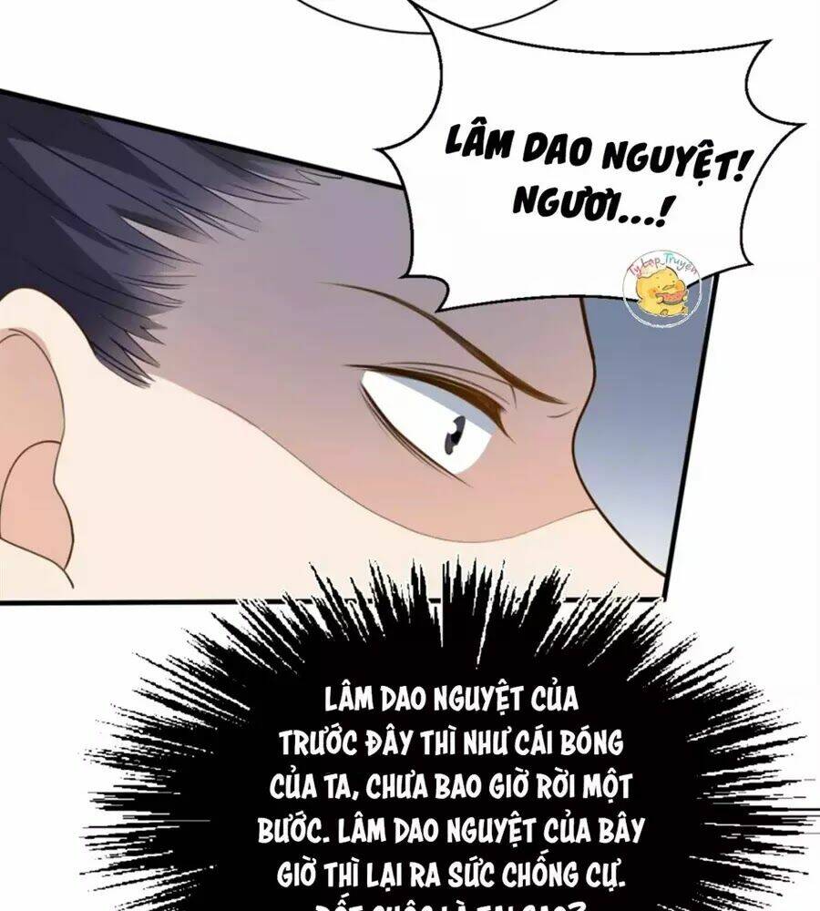 Trùng Sinh Chuyên Sủng Độc Phi Của Nhiếp Chính Vương Chương 51 Ảnh 31