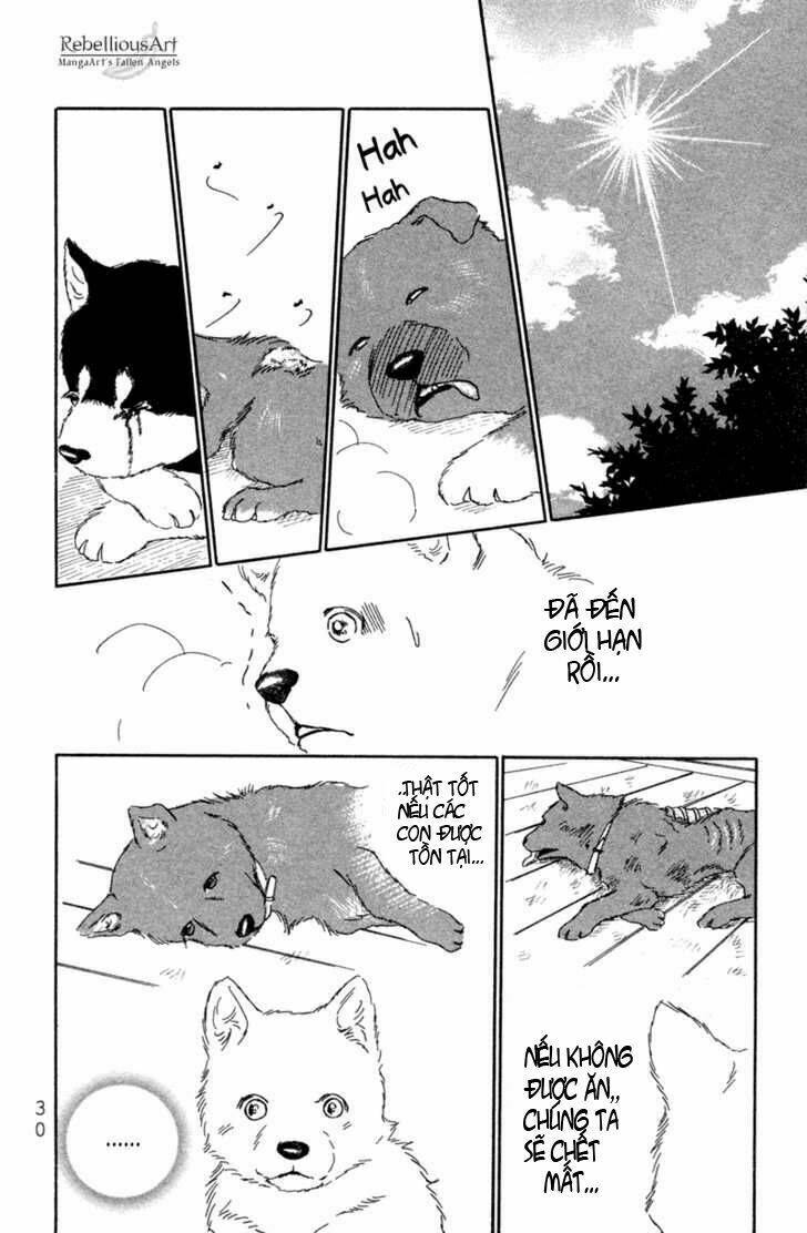 Deep Love - Pao No Monogatari Chương 1 Ảnh 34