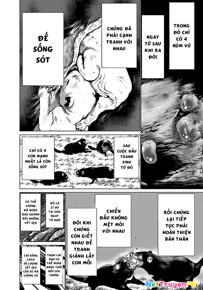 Killing Bites Chương 36 Ảnh 41