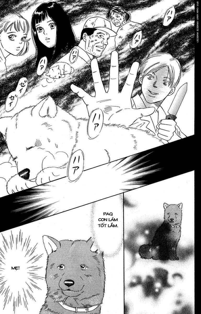 Deep Love - Pao No Monogatari Chương 7 Ảnh 19